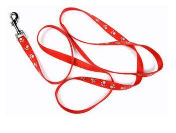 Puppy & Cat Leash image