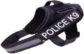 Police K9 Body Chester image